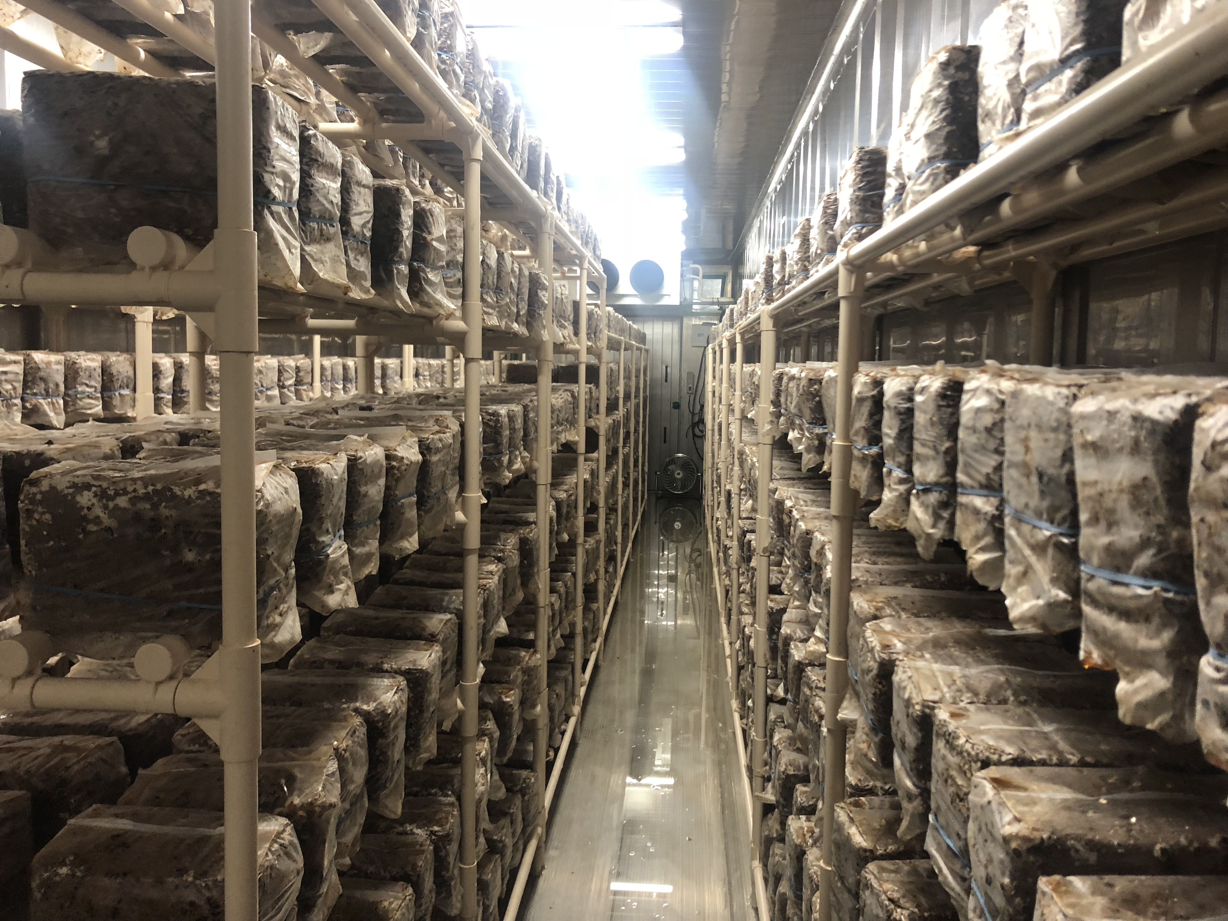 コンテナ内部見学