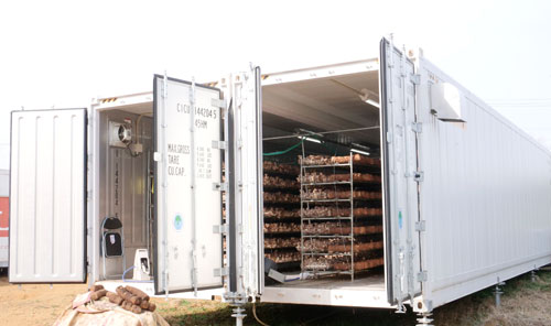 テンフィールズファーム 農場