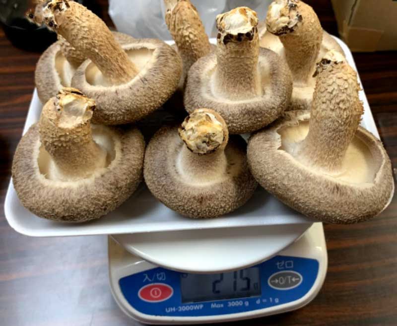 一つひとつ丁寧に包装されていく