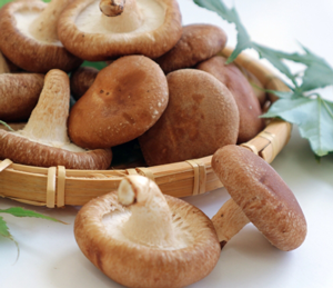 高事業収支の仕組み